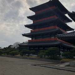 蓮華院 誕生寺(投稿日:2022年6月30日) 写真