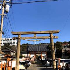写真