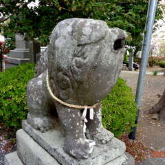 写真