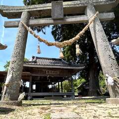 写真