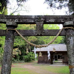 一宮八幡神社(投稿日:2025年8月1日) 写真