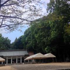 投稿日:2016年9月2日 写真