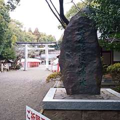 投稿日:2020年12月31日 写真