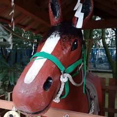 投稿日:2019年12月30日 写真