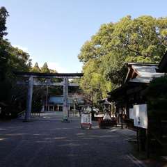 投稿日:2020年10月3日 写真