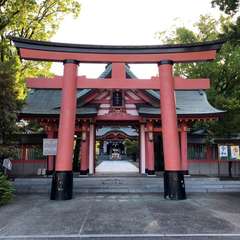 投稿日:2019年5月19日 写真