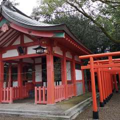 投稿日:2019年12月30日 写真