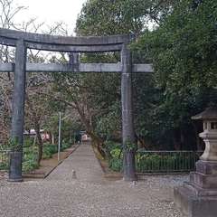 写真