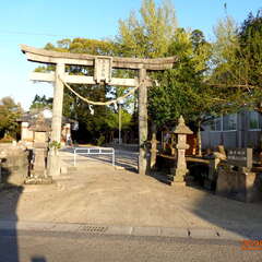 写真
