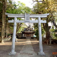 写真