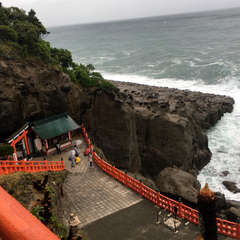 投稿日:2018年4月14日 写真