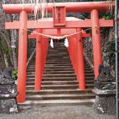 投稿日:2020年12月31日 写真