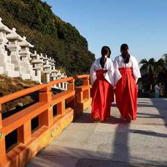 投稿日:2019年12月31日 写真