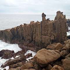 投稿日:2020年12月31日 写真