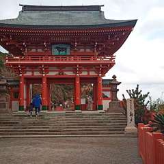 投稿日:2020年12月31日 写真