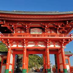 投稿日:2019年12月31日 写真