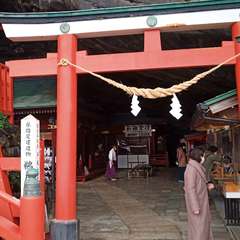 投稿日:2020年12月31日 写真