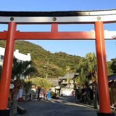 投稿日:2019年12月31日 写真