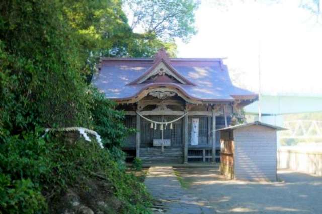 写真