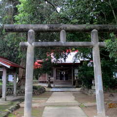 調殿神社(投稿日:2025年7月29日) 写真