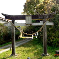 宮田神社(投稿日:2025年6月17日) 写真