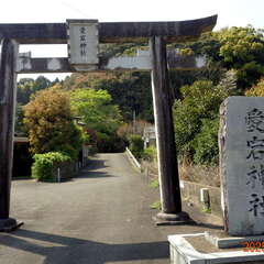 愛宕神社(投稿日:2025年6月17日) 写真