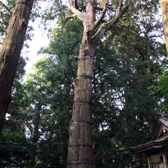 投稿日:2017年10月2日 写真