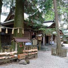 投稿日:2016年4月21日 写真