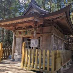 投稿日:2024年3月14日 写真