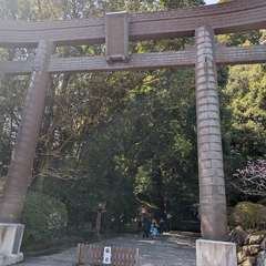 投稿日:2024年3月14日 写真