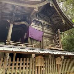 投稿日:2024年4月28日 写真