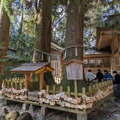 投稿日:2024年3月14日 写真