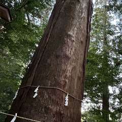 投稿日:2023年10月28日 写真