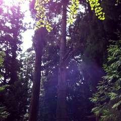 投稿日:2017年8月19日 写真