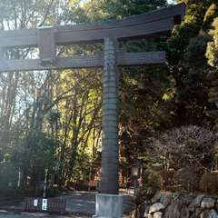 投稿日:2020年12月31日 写真