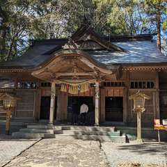 投稿日:2024年3月14日 写真