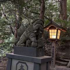 投稿日:2023年10月28日 写真