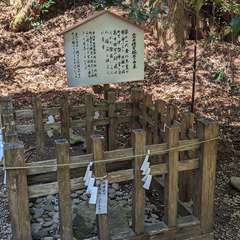 投稿日:2024年3月14日 写真