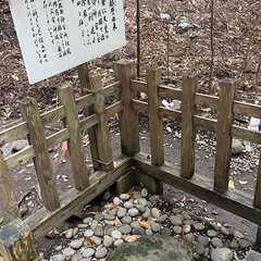 投稿日:2024年4月28日 写真