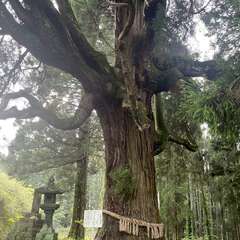 中畑神社(投稿日:2024年4月28日) 写真
