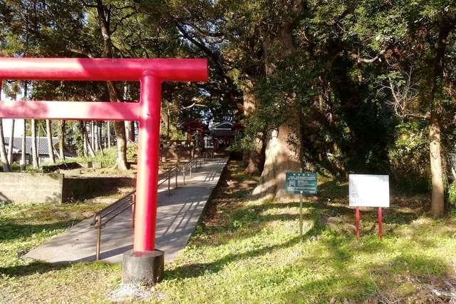 写真