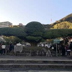 投稿日:2020年1月1日 写真