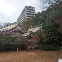 投稿日:2020年12月30日 写真