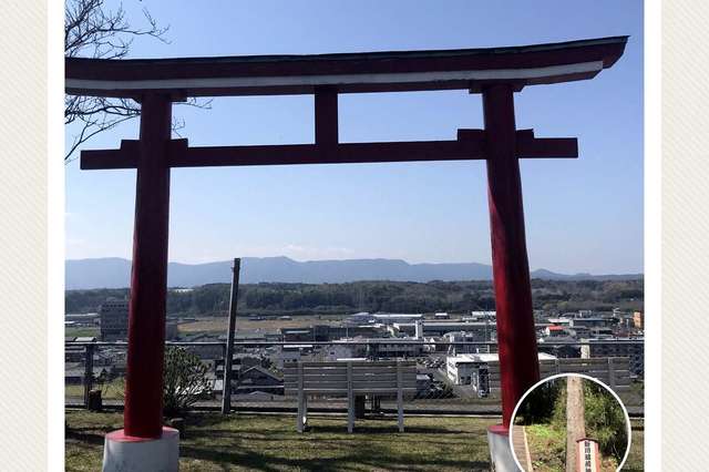 写真