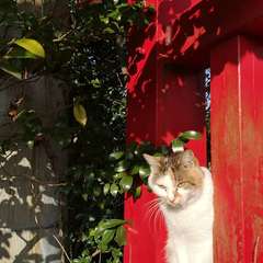 投稿日:2020年1月3日 写真