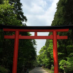 投稿日:2018年5月28日 写真