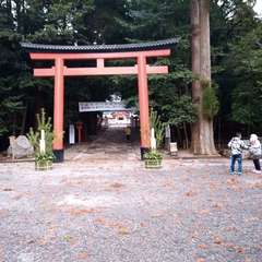 投稿日:2020年12月30日 写真