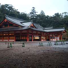 投稿日:2020年12月30日 写真