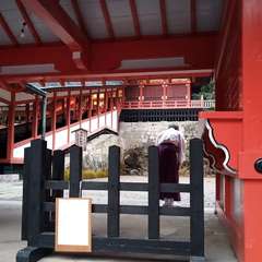 投稿日:2020年12月30日 写真