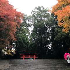 投稿日:2017年11月29日 写真